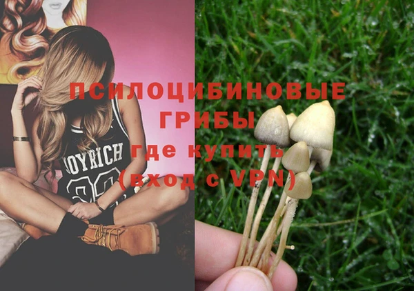 стаф Майский