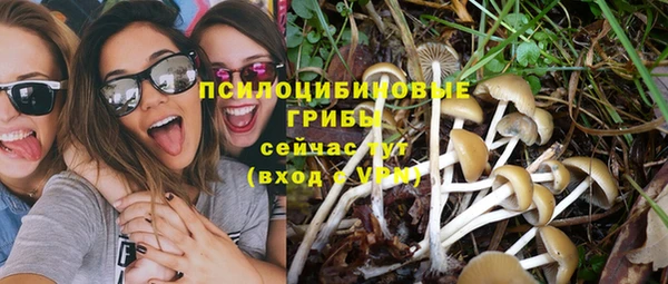 стаф Майский