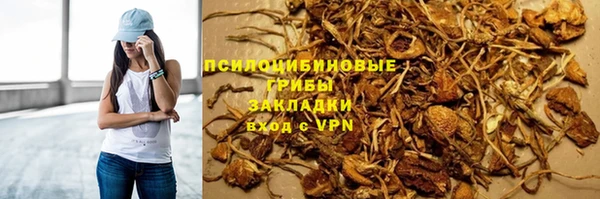 эйфоретик Медногорск